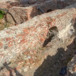 Ostrów Tumski, wykopaliska archeologiczne, relikty zamku
